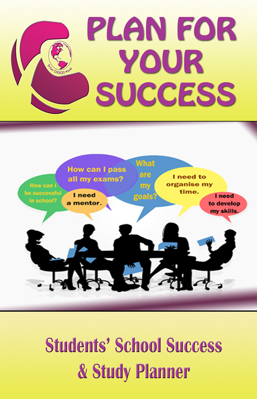 plan for your success